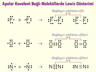 kimya-apolar-kovalent-lewis.png