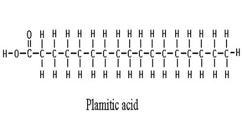 palmitic-acid.jpg