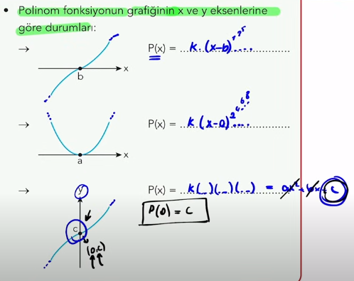 mat-polinom-grafikleri.png
